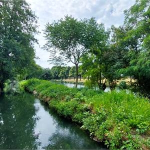 Rustico/Casale In Vendita a Robecco sul Naviglio