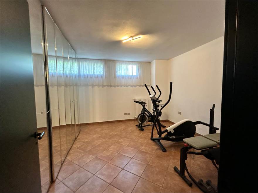 palestra